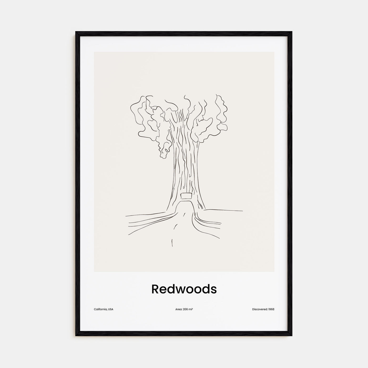 Redwoods Drawn Poster