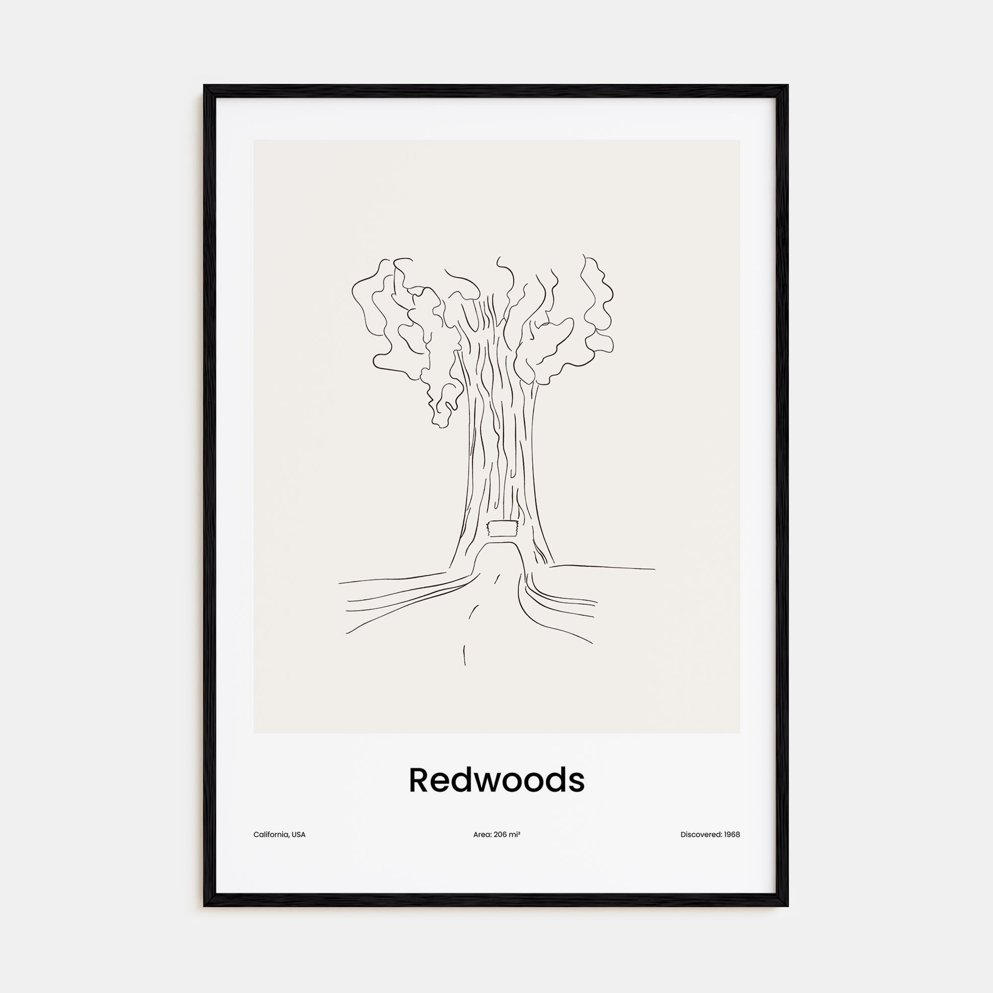 Redwoods Drawn Poster