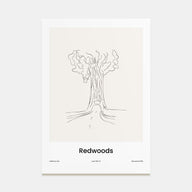Redwoods Drawn Poster