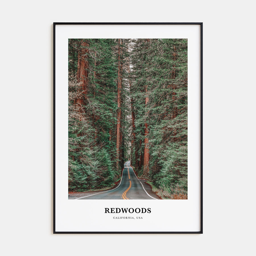 Redwoods Portrait Color Poster