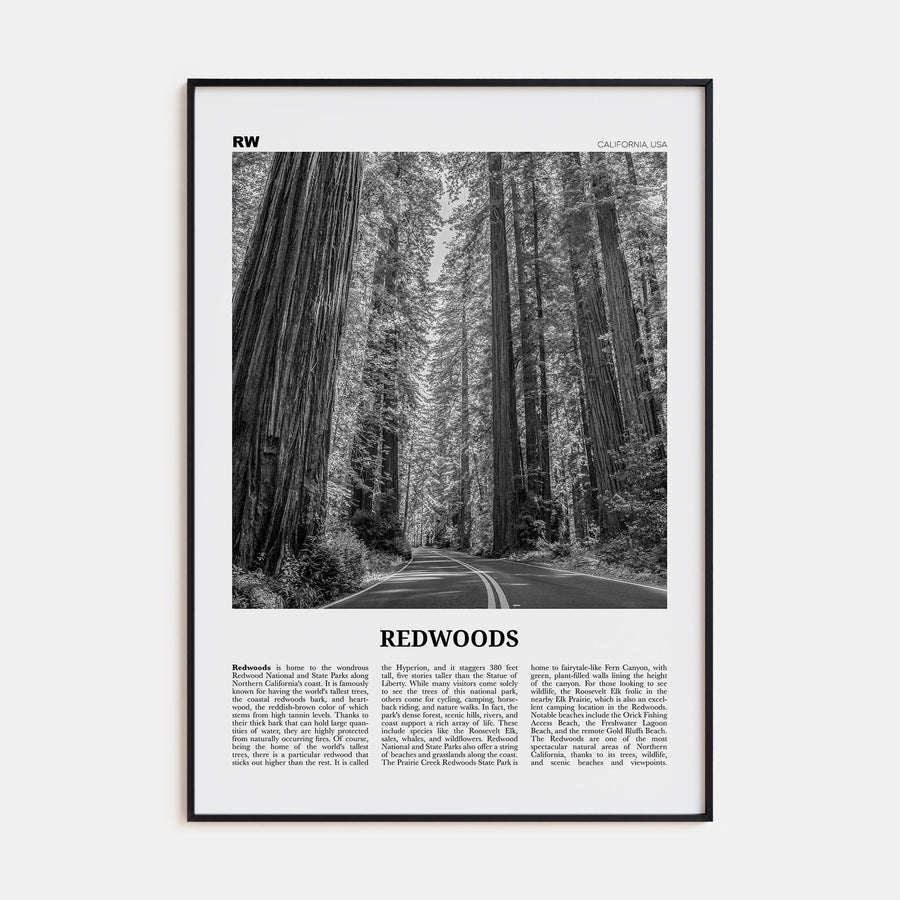 Redwoods Travel B&W Poster