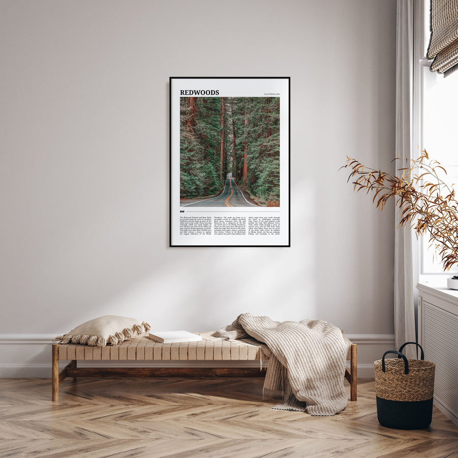 Redwoods Travel Color Poster
