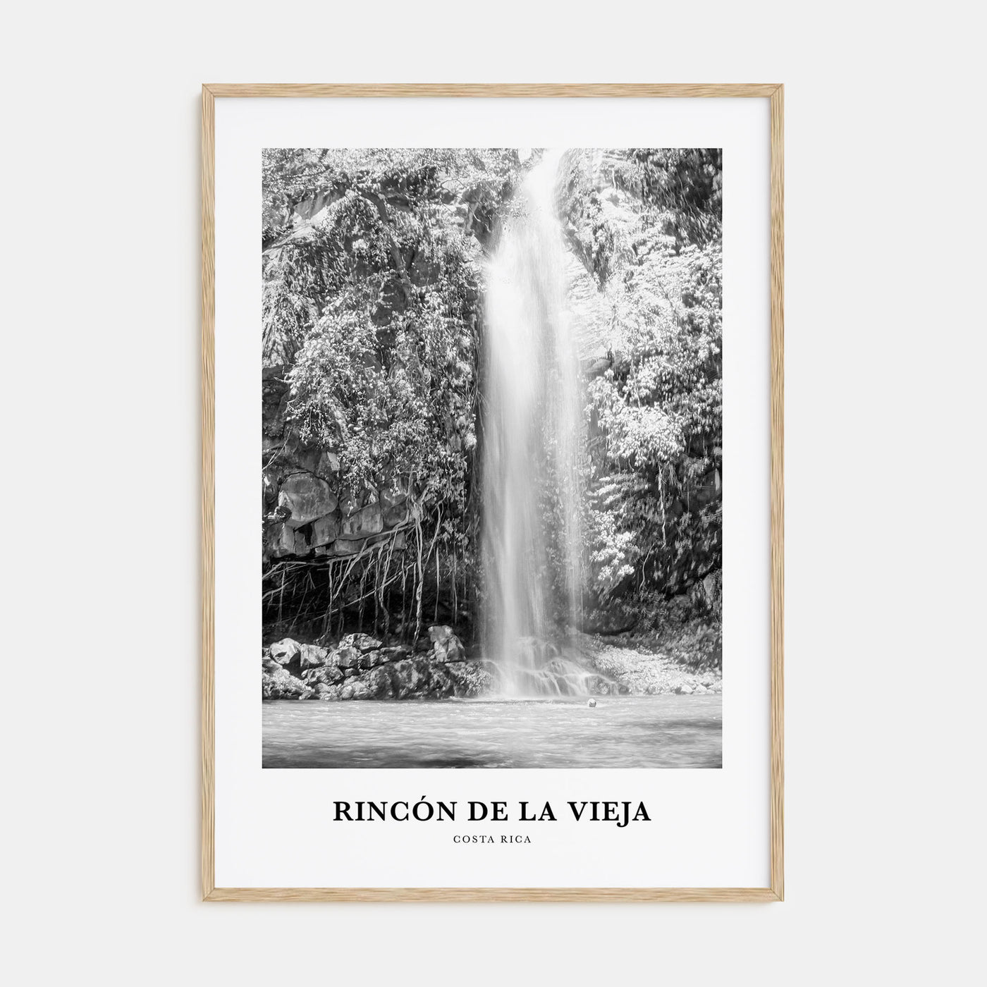 Rincón de la Vieja Portrait B&W Poster