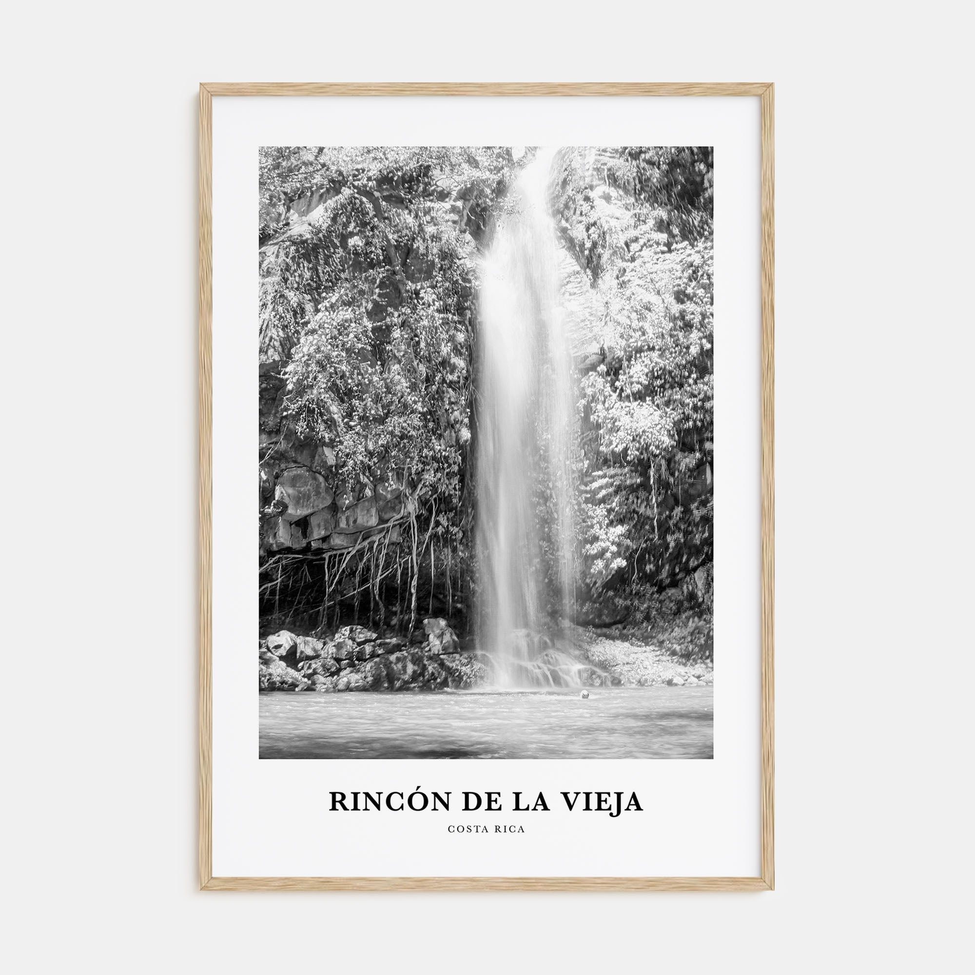 Rincón de la Vieja Portrait B&W Poster