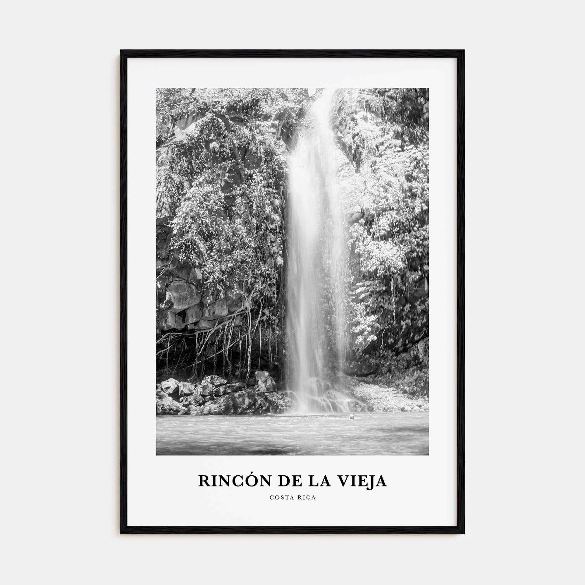 Rincón de la Vieja Portrait B&W Poster