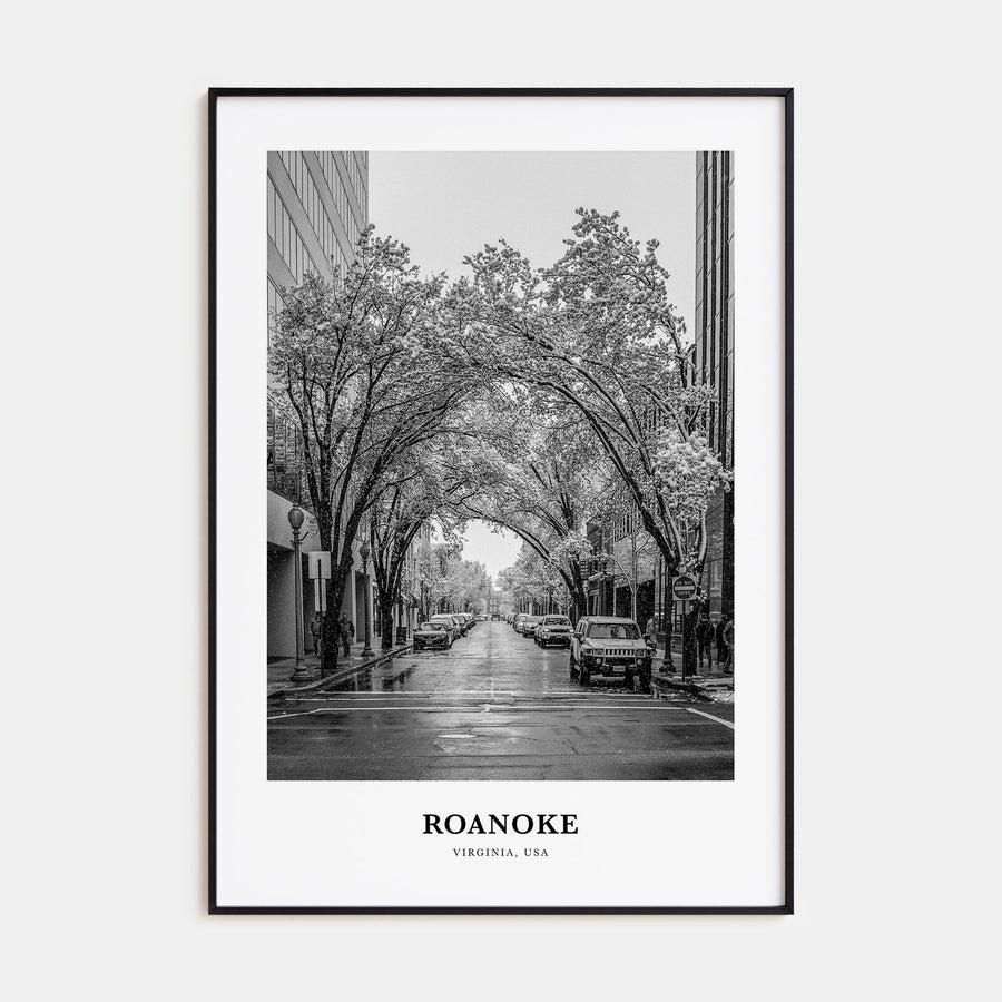 Roanoke Portrait B&W No 1 Poster