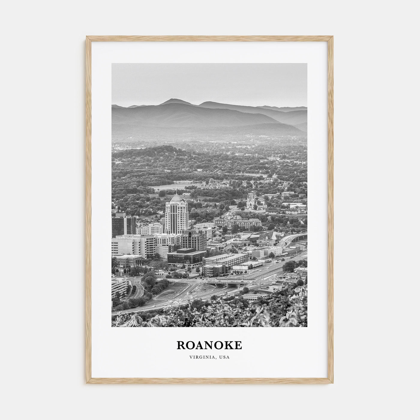 Roanoke Portrait B&W No 2 Poster