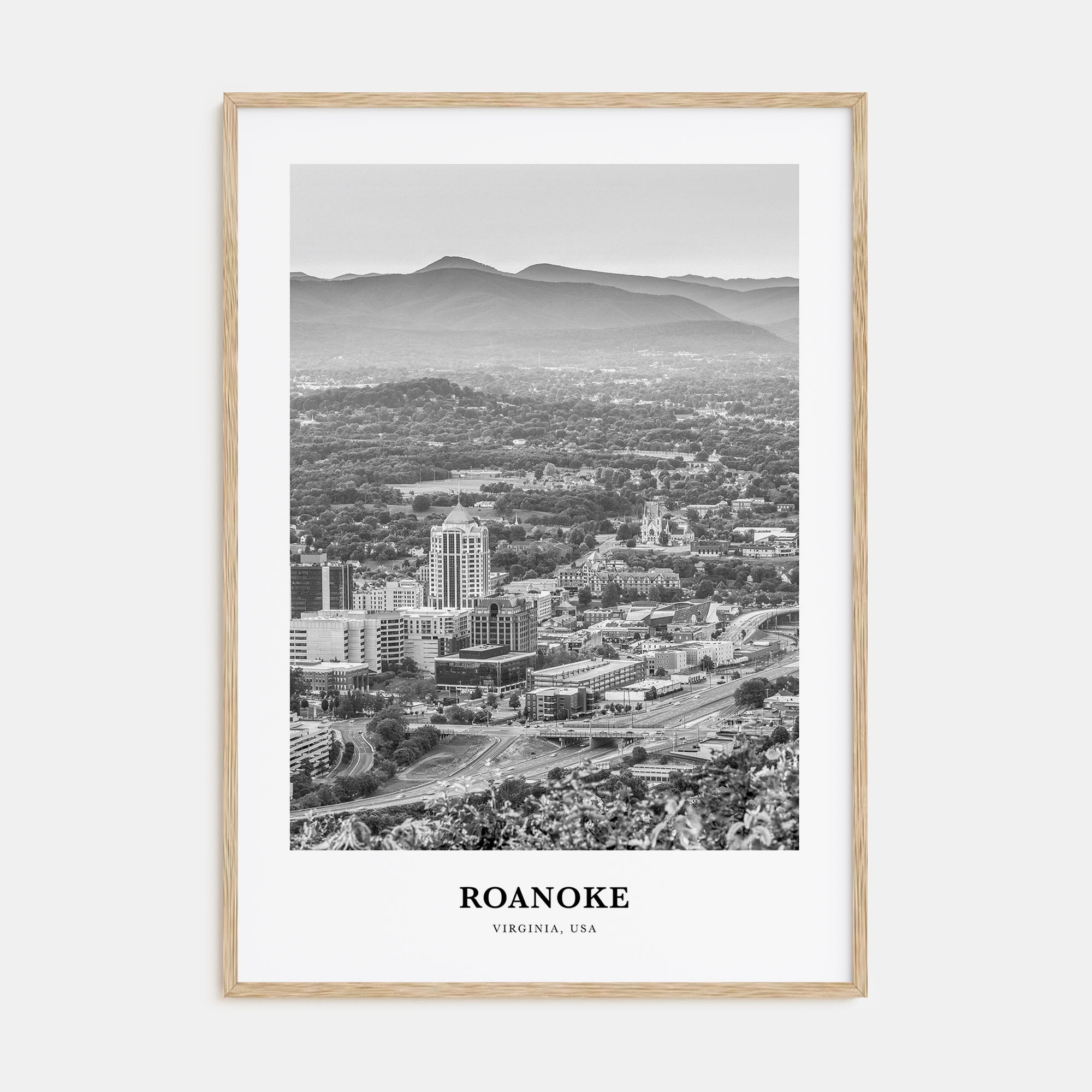 Roanoke Portrait B&W No 2 Poster