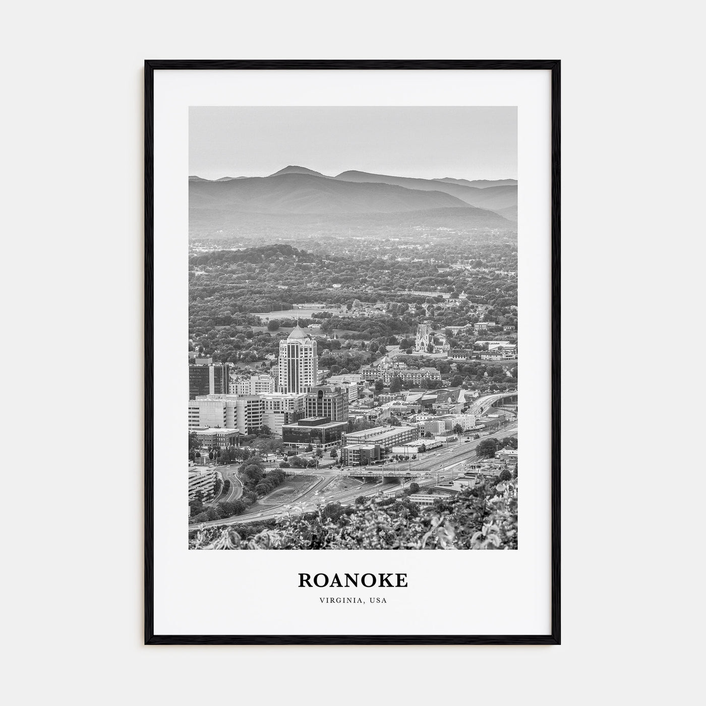 Roanoke Portrait B&W No 2 Poster