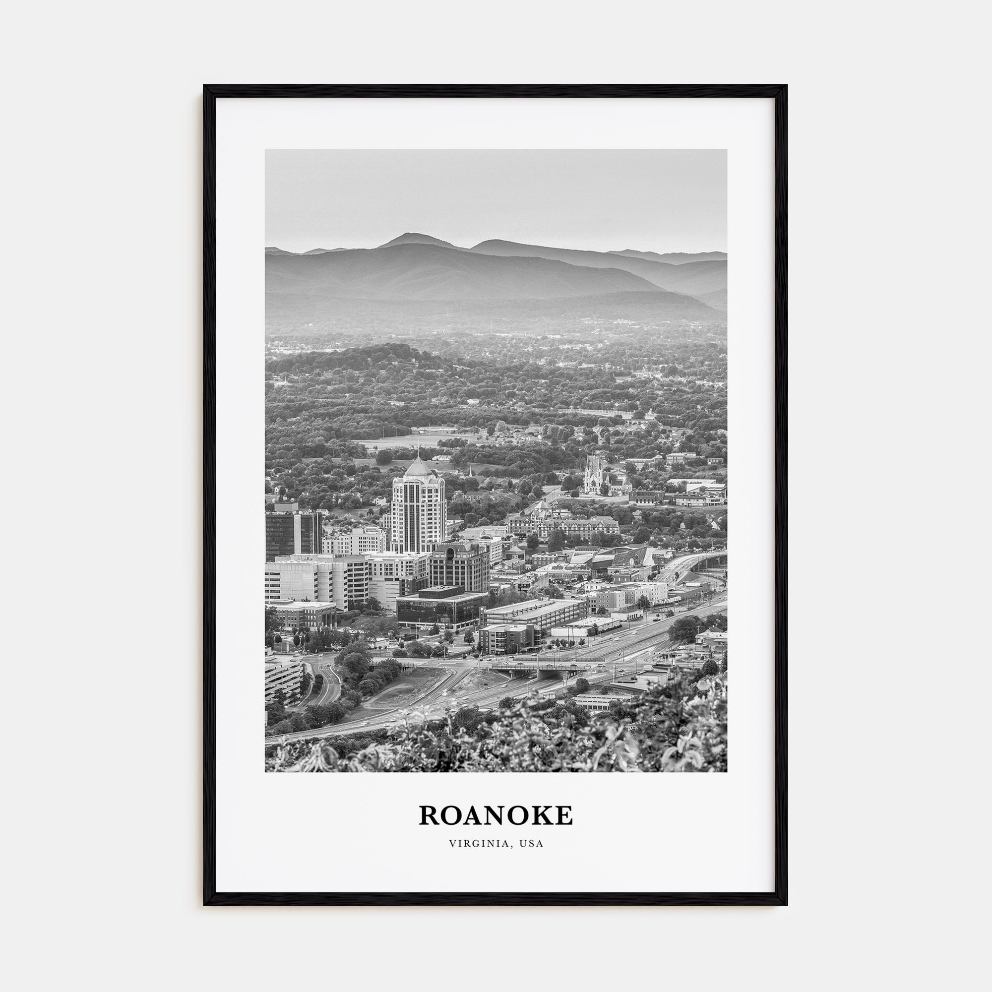 Roanoke Portrait B&W No 2 Poster