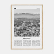 Roanoke Travel B&W No 1 Poster