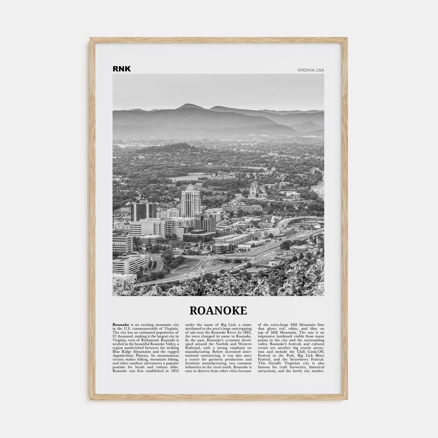 Roanoke Travel B&W No 1 Poster