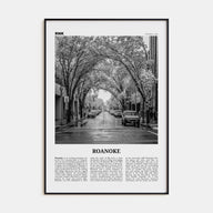 Roanoke Travel B&W No 2 Poster