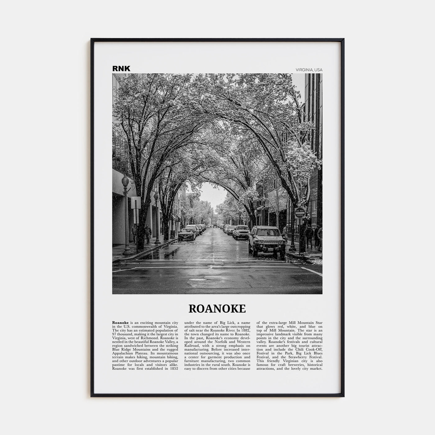Roanoke Travel B&W No 2 Poster
