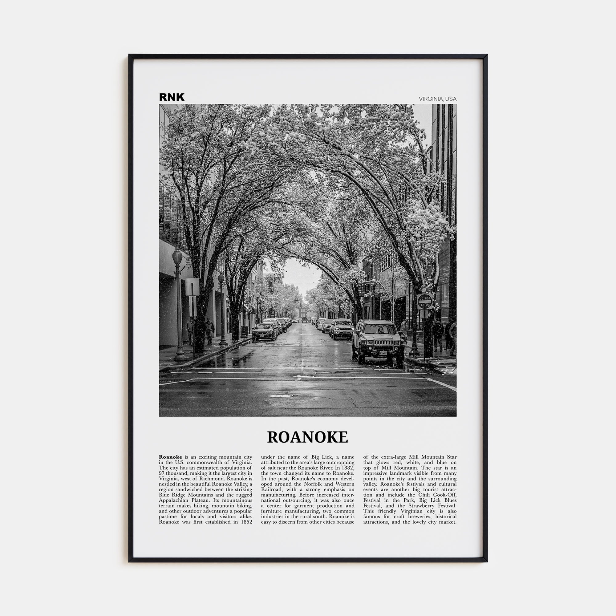 Roanoke Travel B&W No 2 Poster