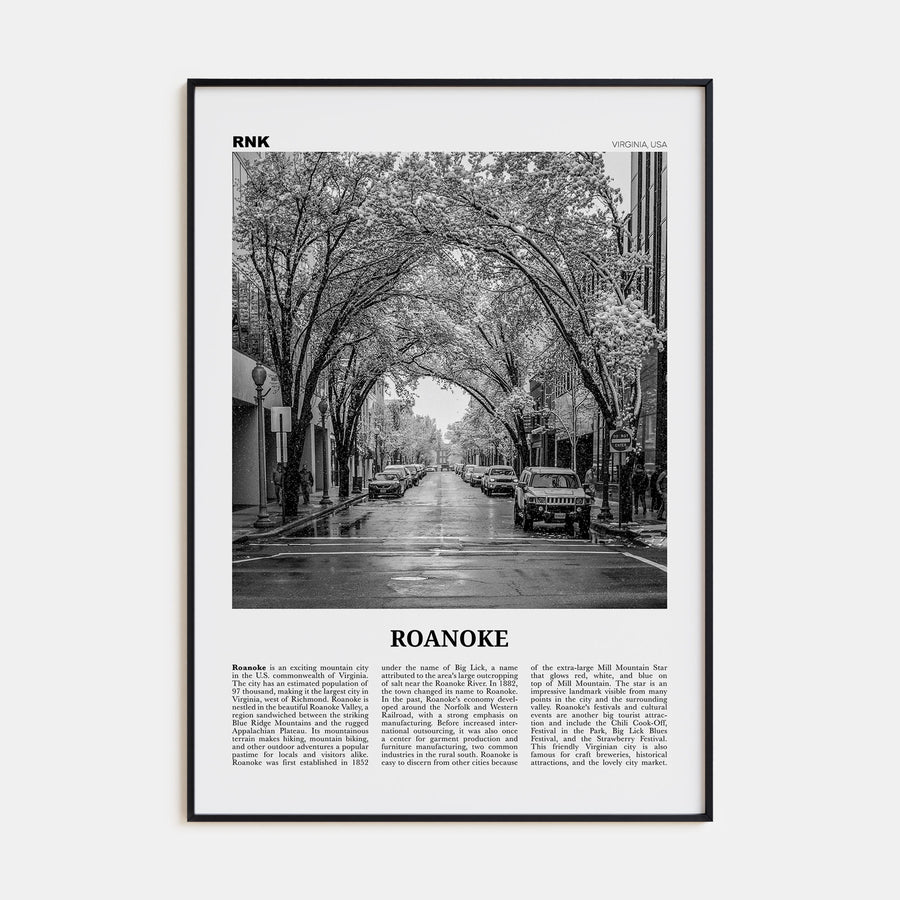 Roanoke Travel B&W No 2 Poster