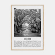 Roanoke Travel B&W No 2 Poster