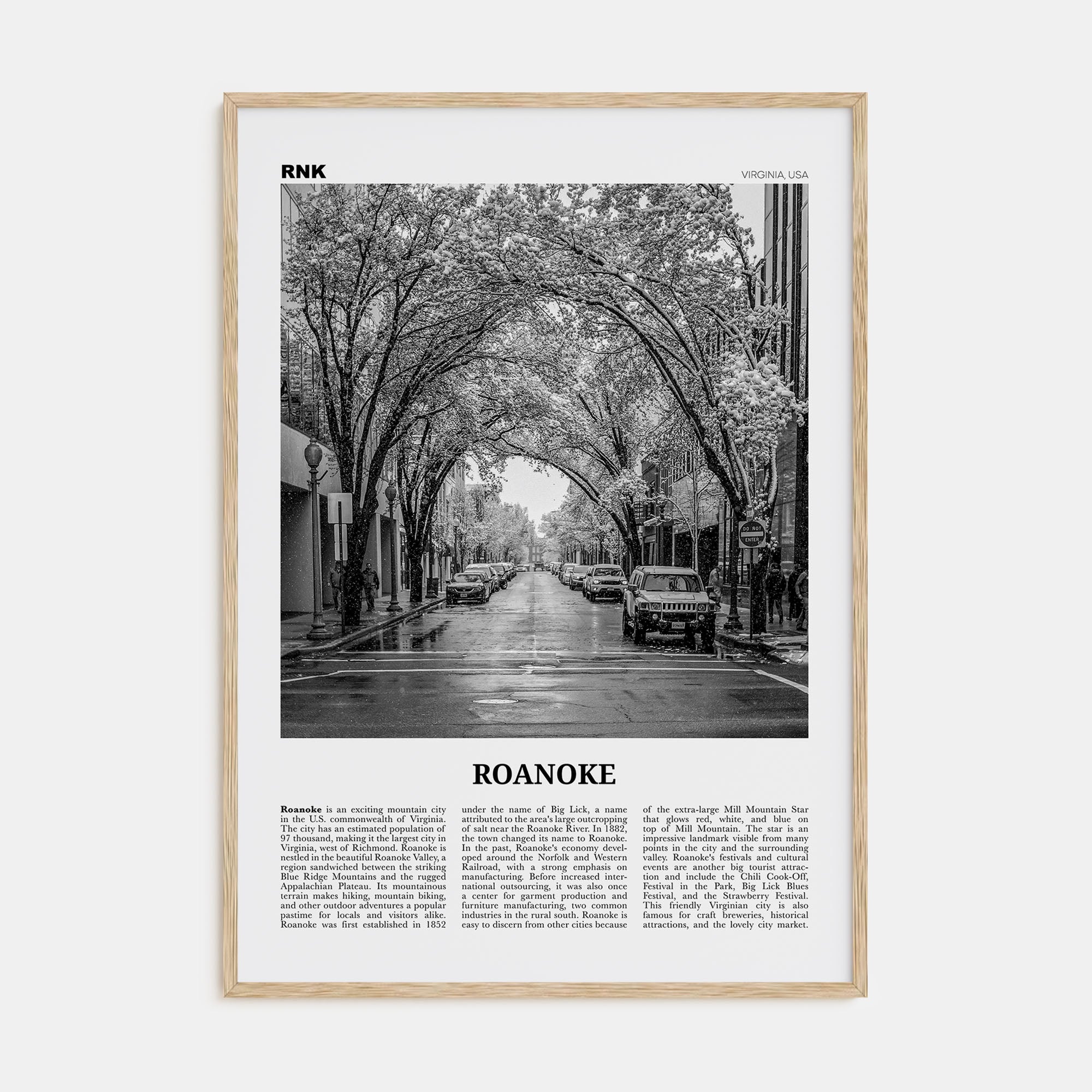 Roanoke Travel B&W No 2 Poster