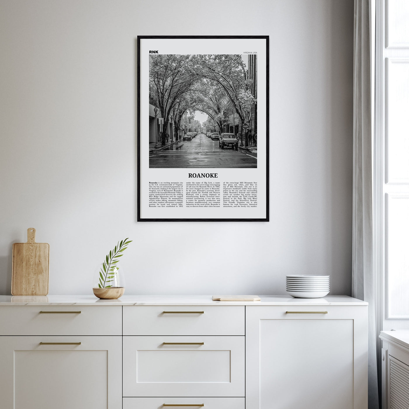 Roanoke Travel B&W No 2 Poster