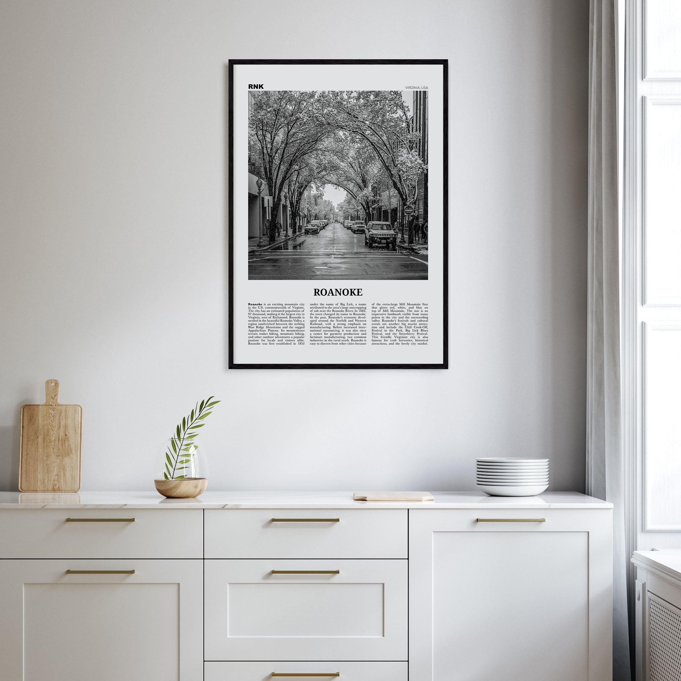 Roanoke Travel B&W No 2 Poster