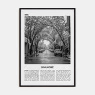 Roanoke Travel B&W No 2 Poster