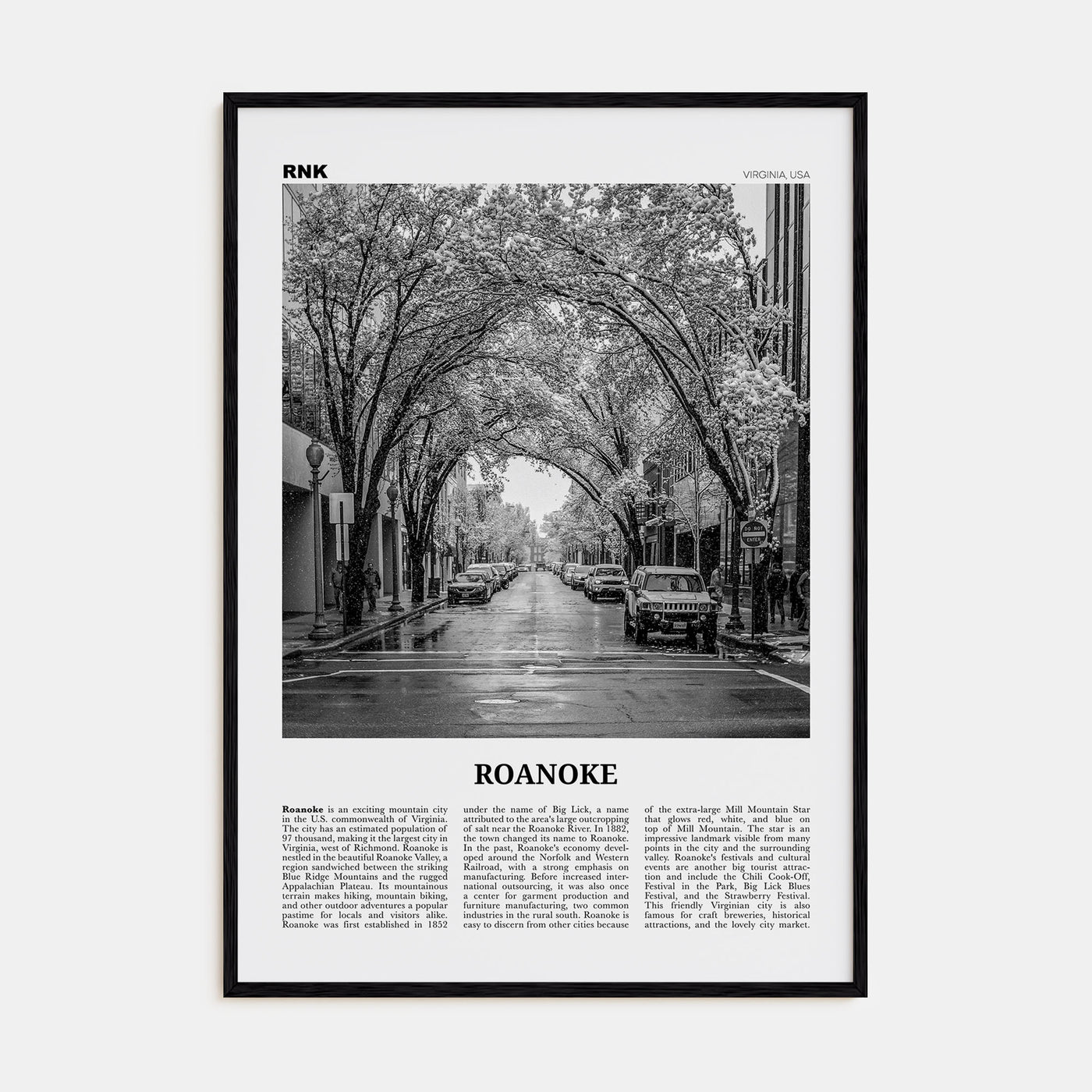 Roanoke Travel B&W No 2 Poster