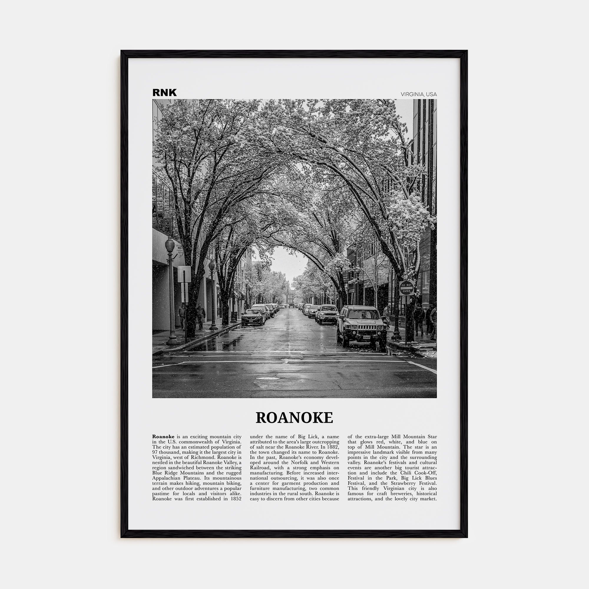 Roanoke Travel B&W No 2 Poster
