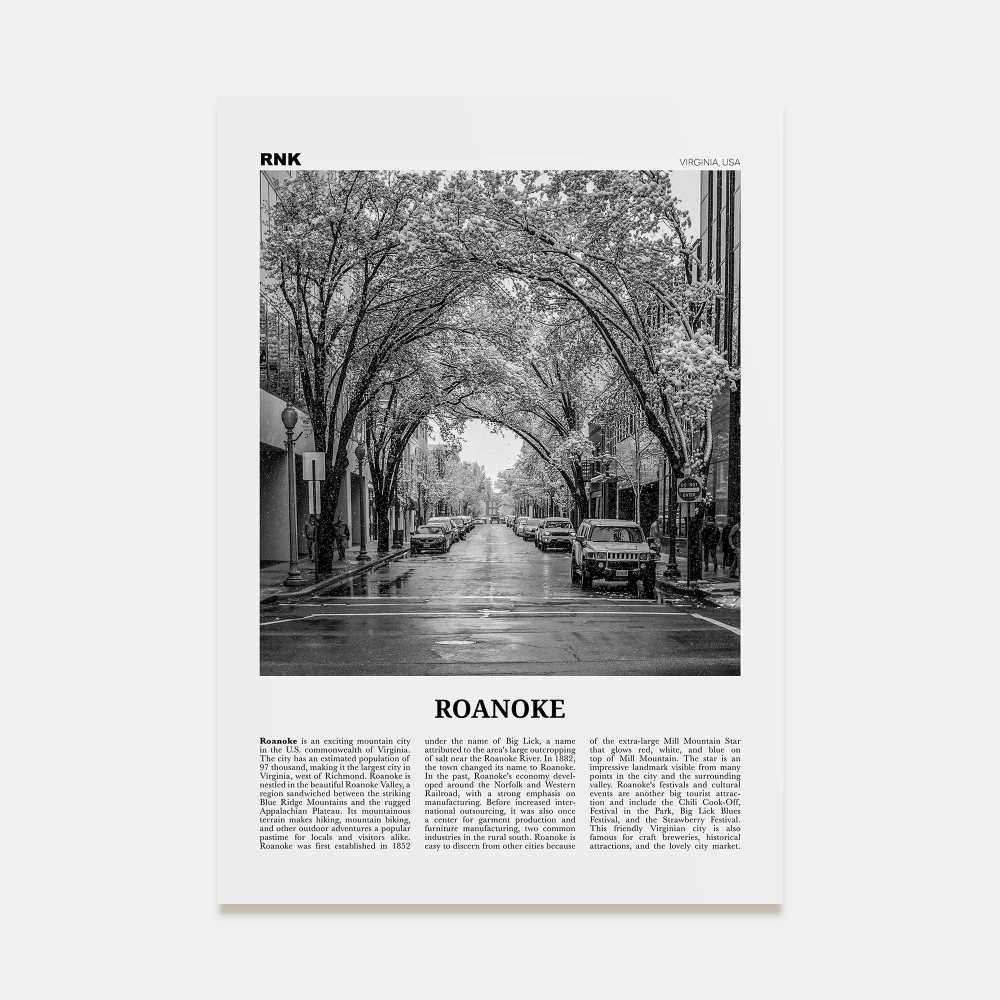 Roanoke Travel B&W No 2 Poster