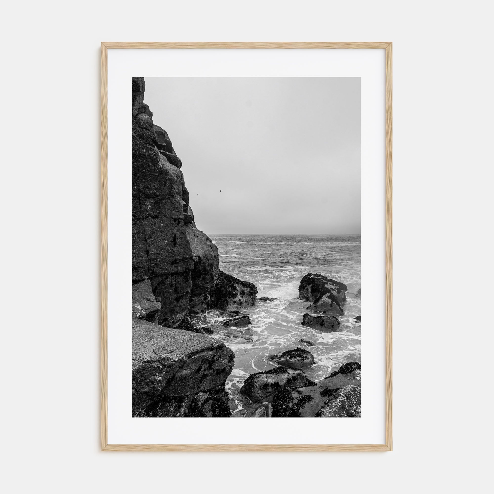 Rocky Coast Photo B&W No 2 Poster