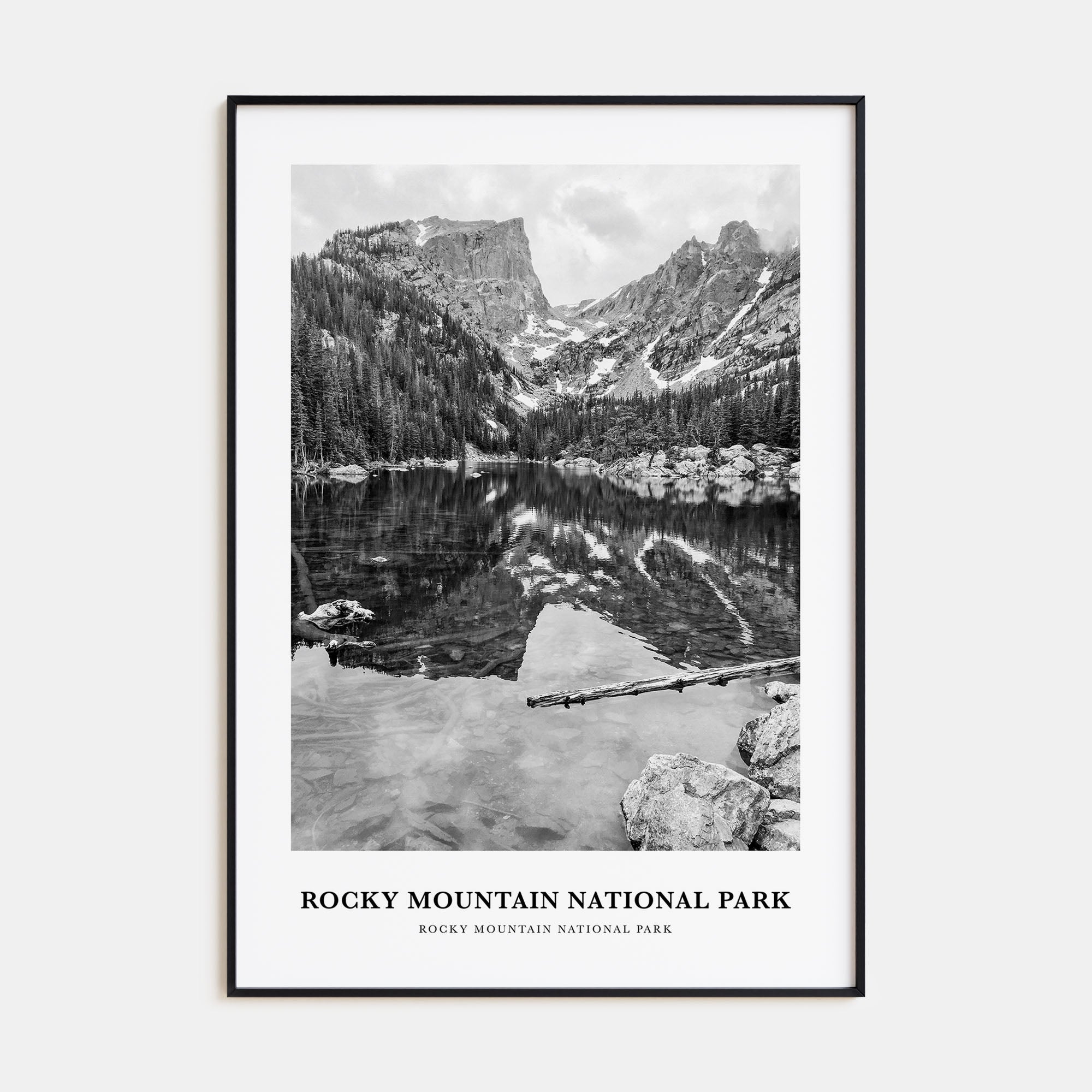 Rocky Mountain National Park Portrait B&W No 1 Poster