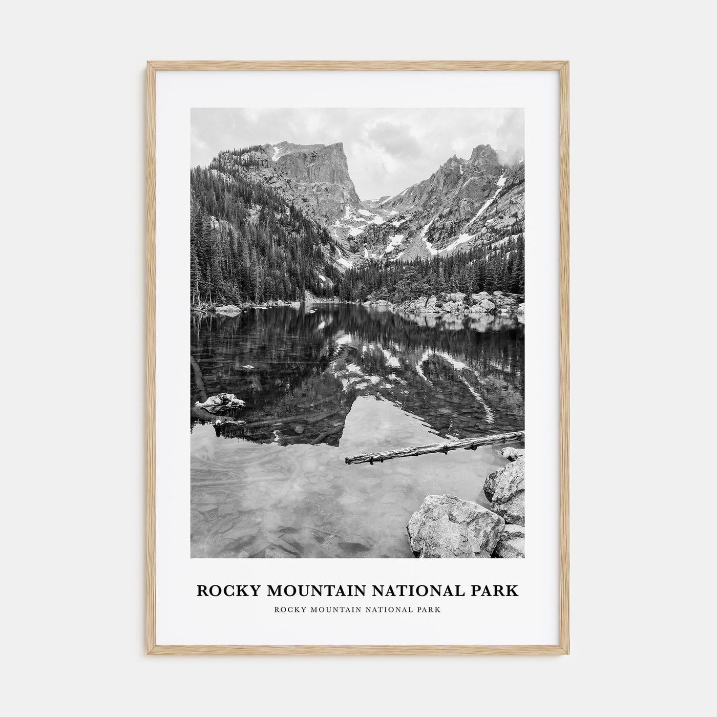 Rocky Mountain National Park Portrait B&W No 1 Poster