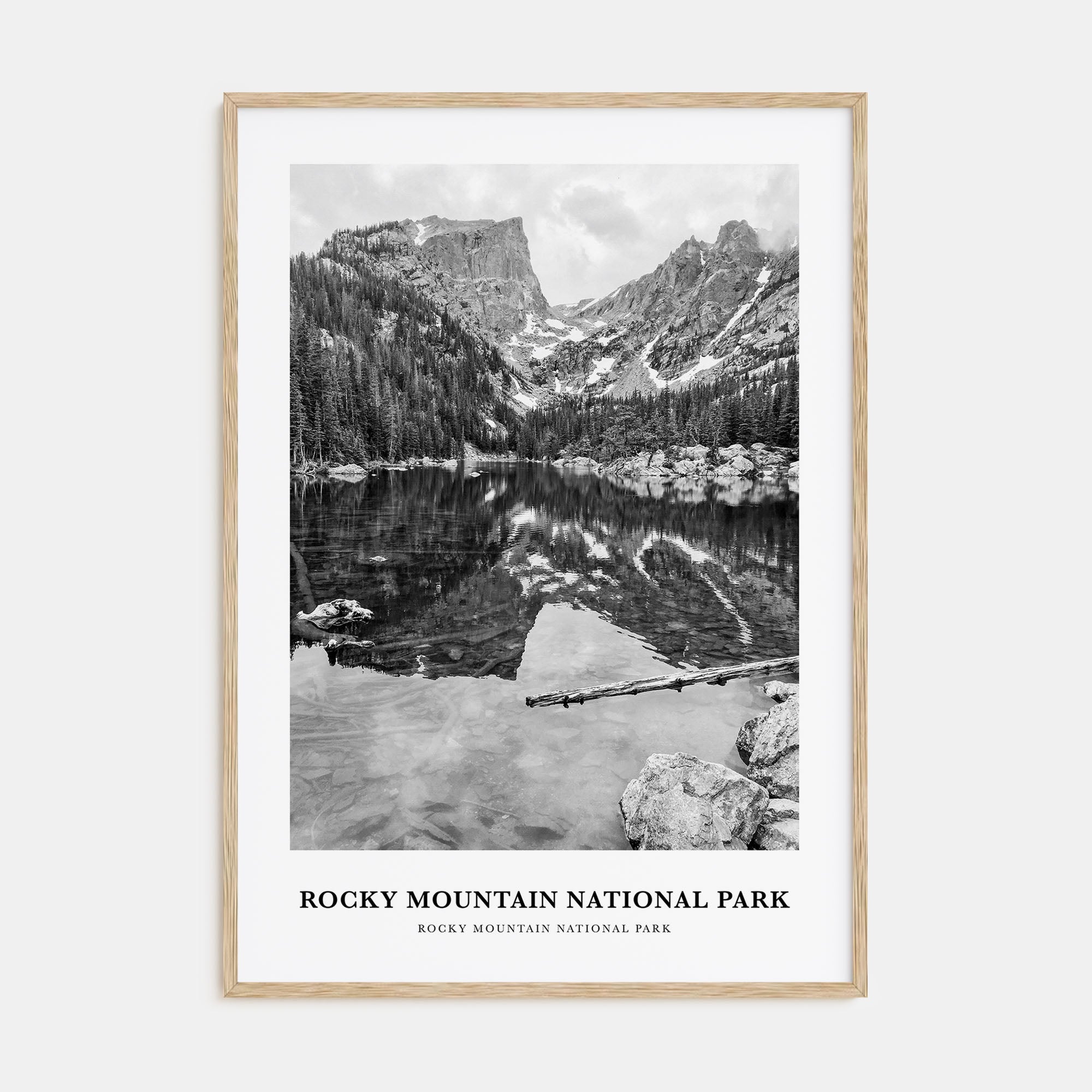 Rocky Mountain National Park Portrait B&W No 1 Poster
