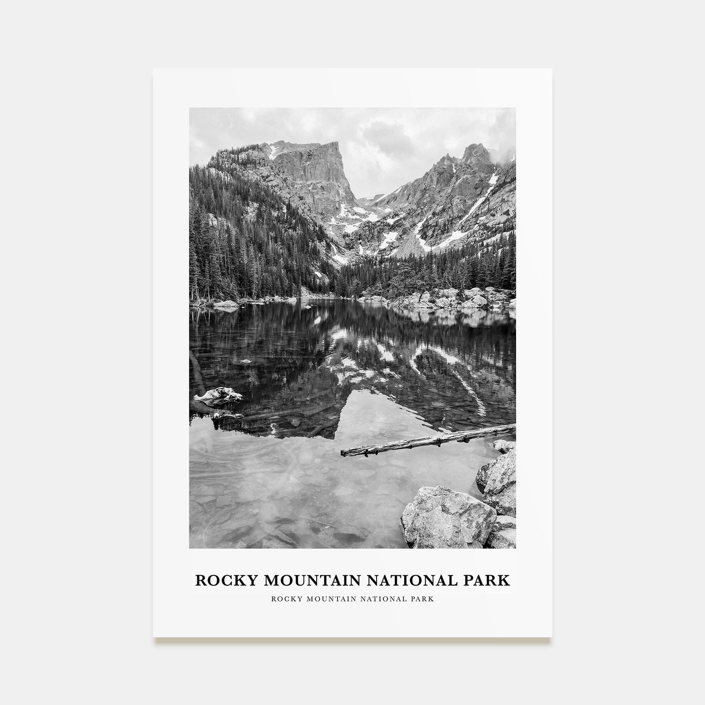 Rocky Mountain National Park Portrait B&W No 1 Poster
