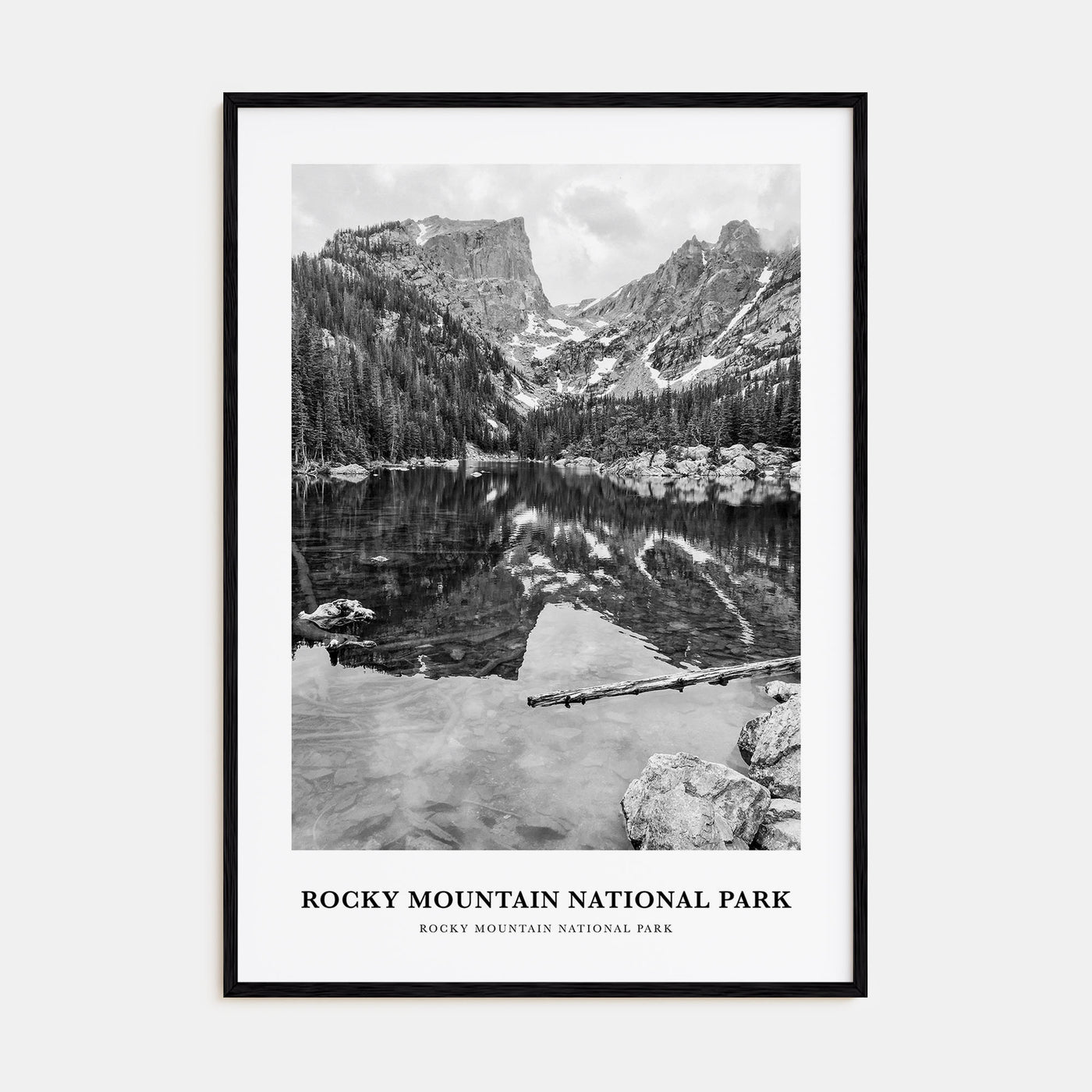 Rocky Mountain National Park Portrait B&W No 1 Poster