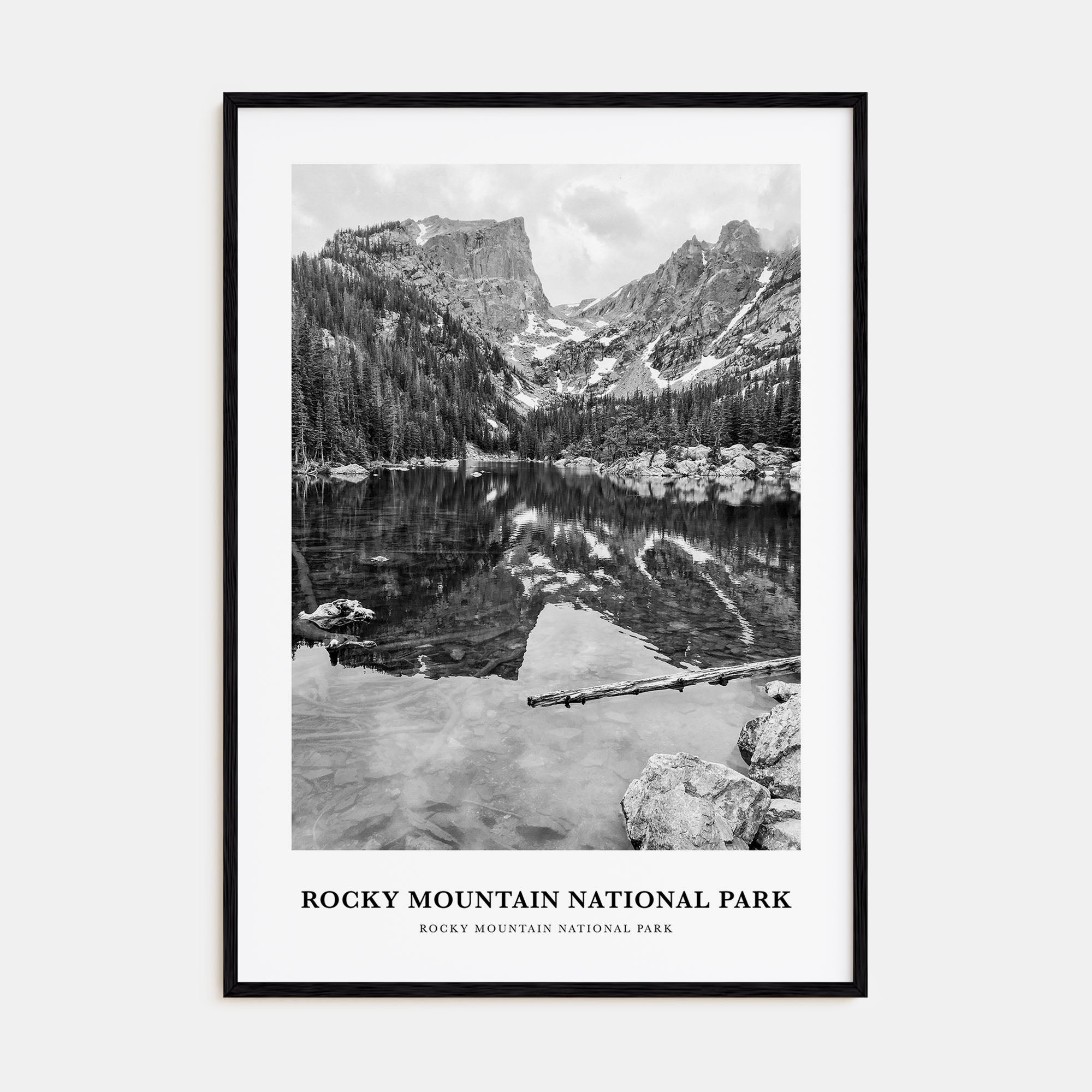 Rocky Mountain National Park Portrait B&W No 1 Poster