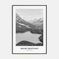 Rocky Mountain National Park Portrait B&W No 2 Poster