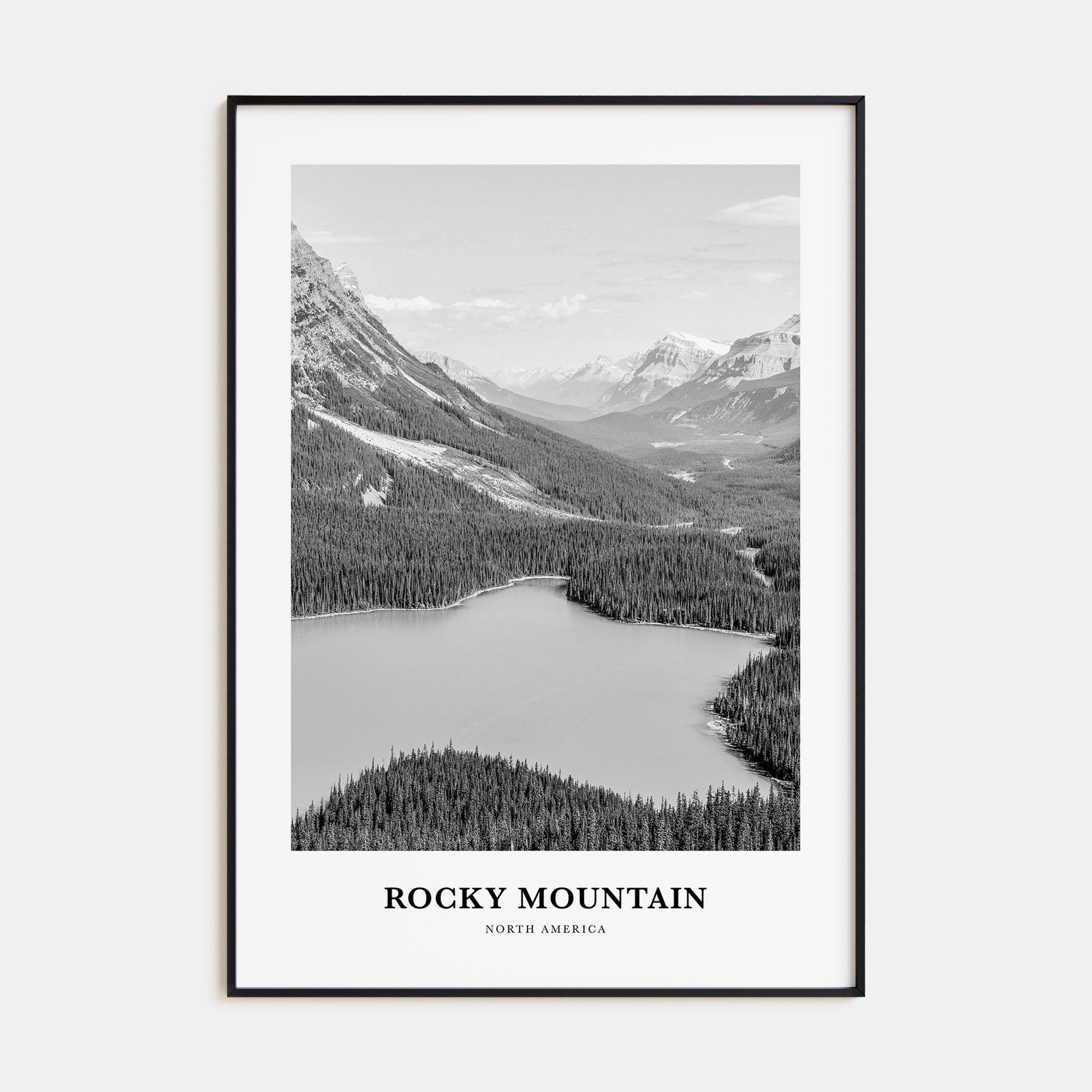 Rocky Mountain National Park Portrait B&W No 2 Poster