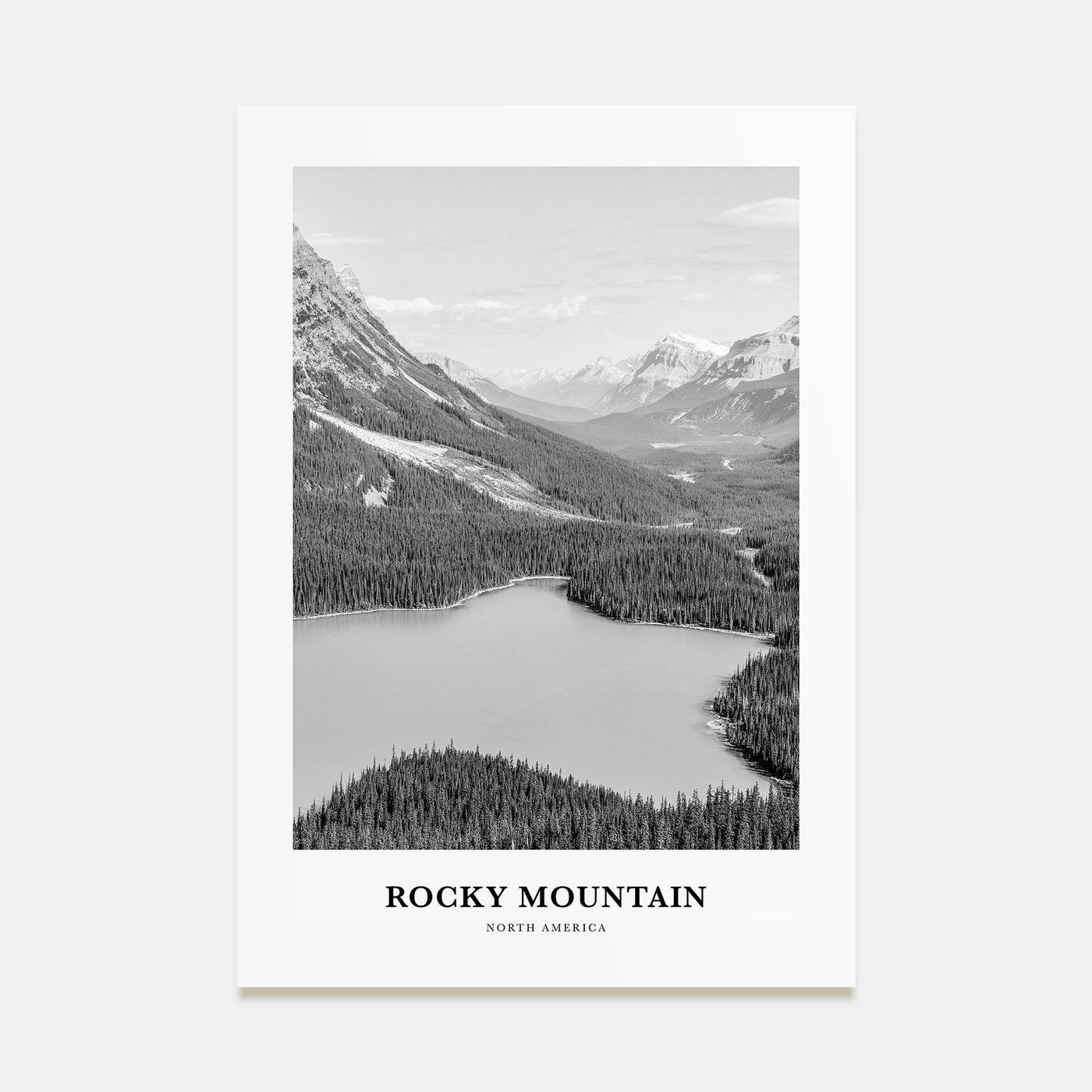 Rocky Mountain National Park Portrait B&W No 2 Poster