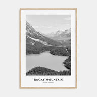 Rocky Mountain National Park Portrait B&W No 2 Poster