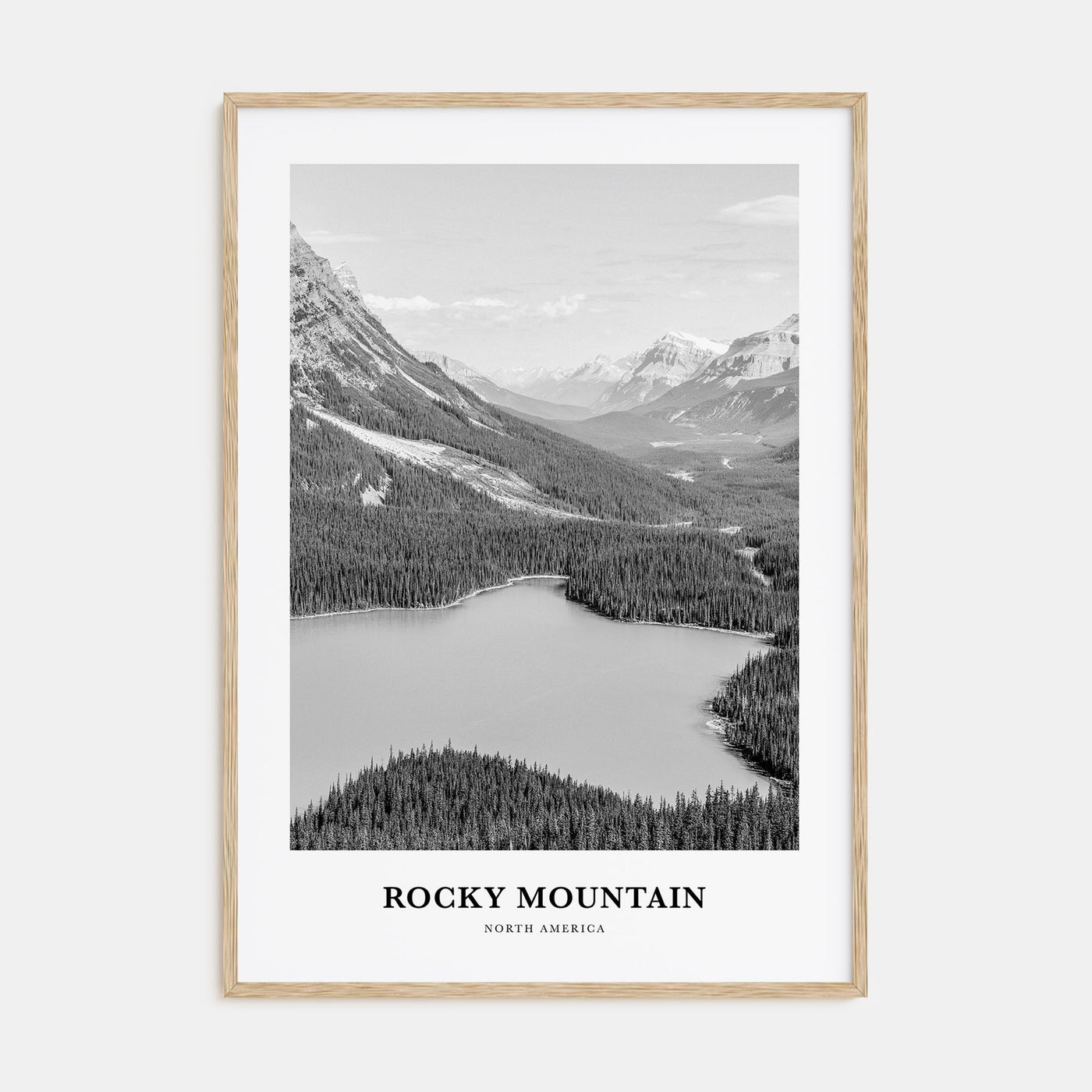 Rocky Mountain National Park Portrait B&W No 2 Poster