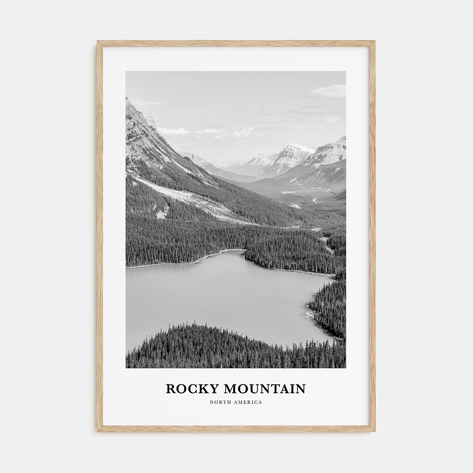 Rocky Mountain National Park Portrait B&W No 2 Poster