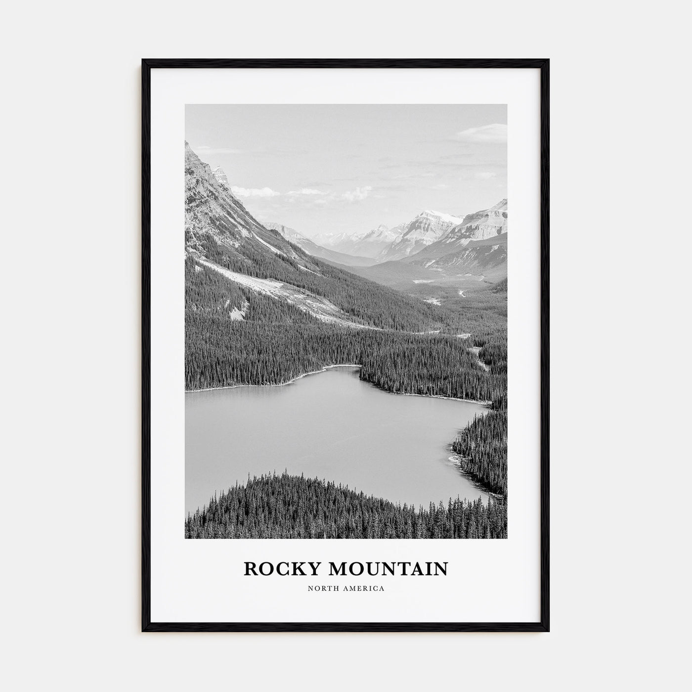 Rocky Mountain National Park Portrait B&W No 2 Poster