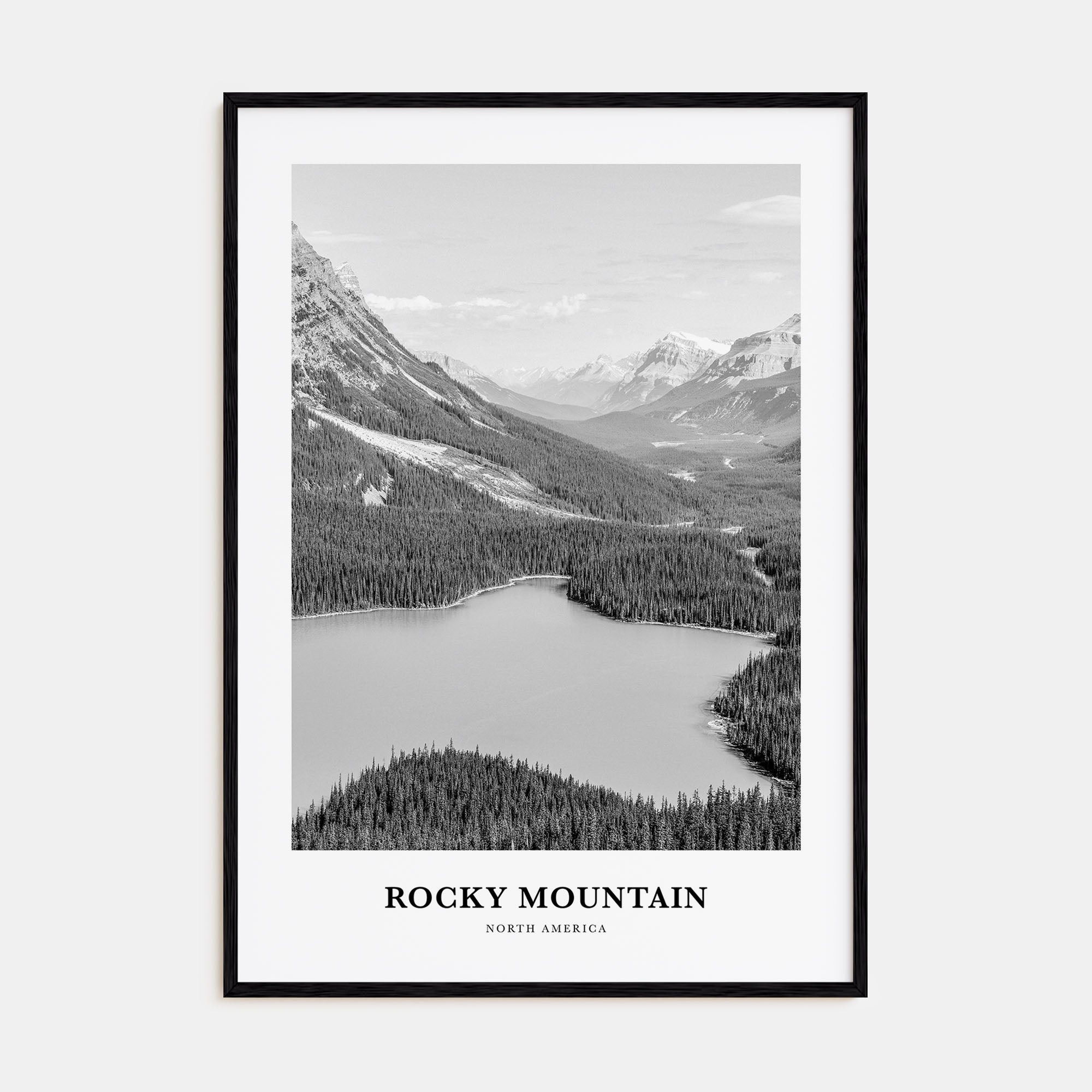 Rocky Mountain National Park Portrait B&W No 2 Poster