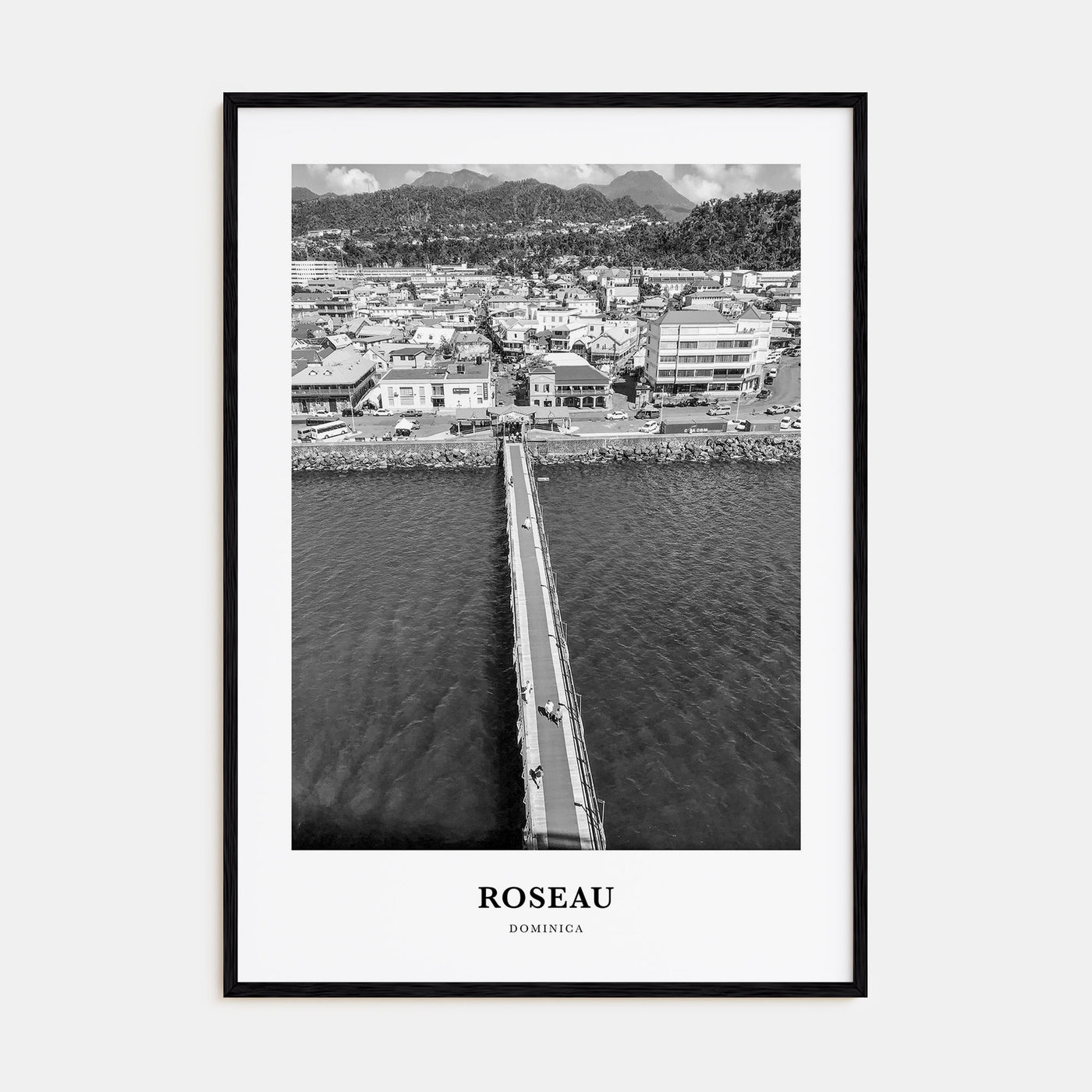 Roseau Portrait B&W Poster