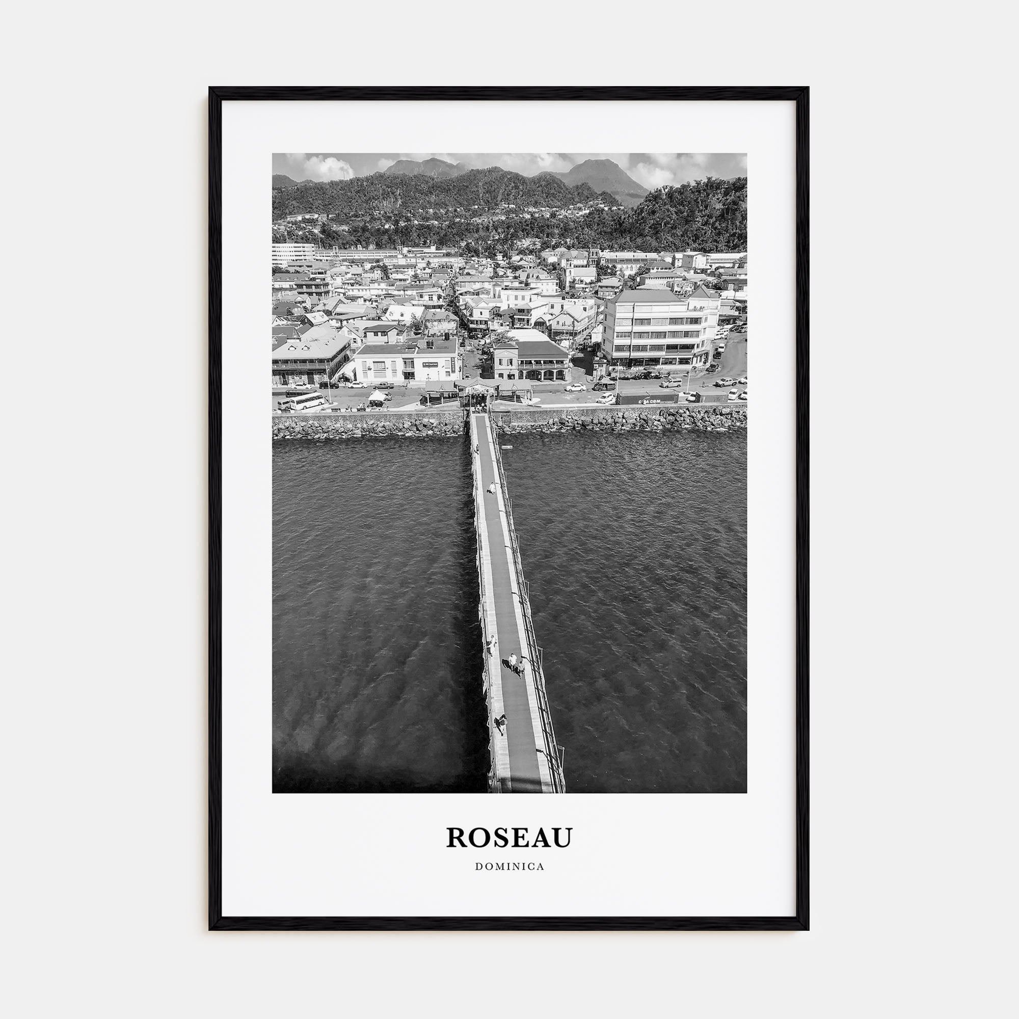 Roseau Portrait B&W Poster