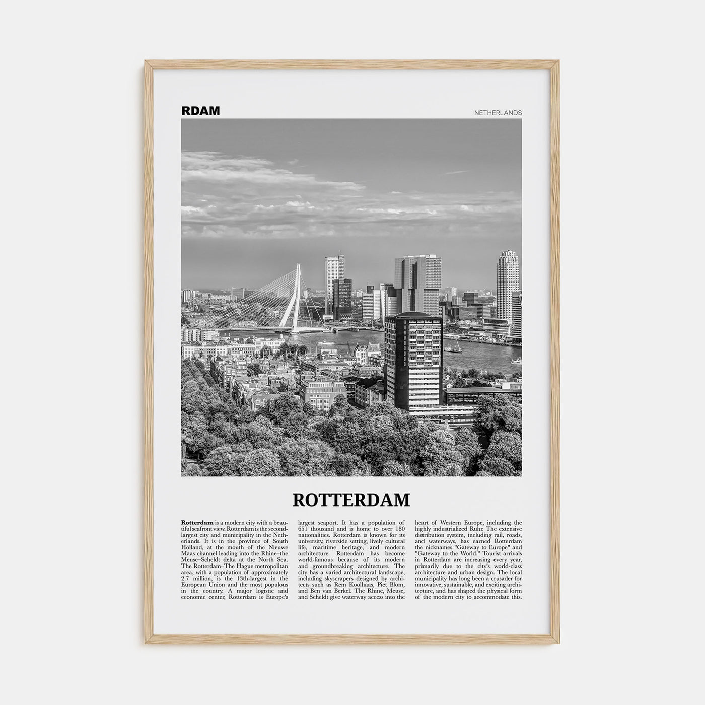 Rotterdam Travel B&W No 2 Poster