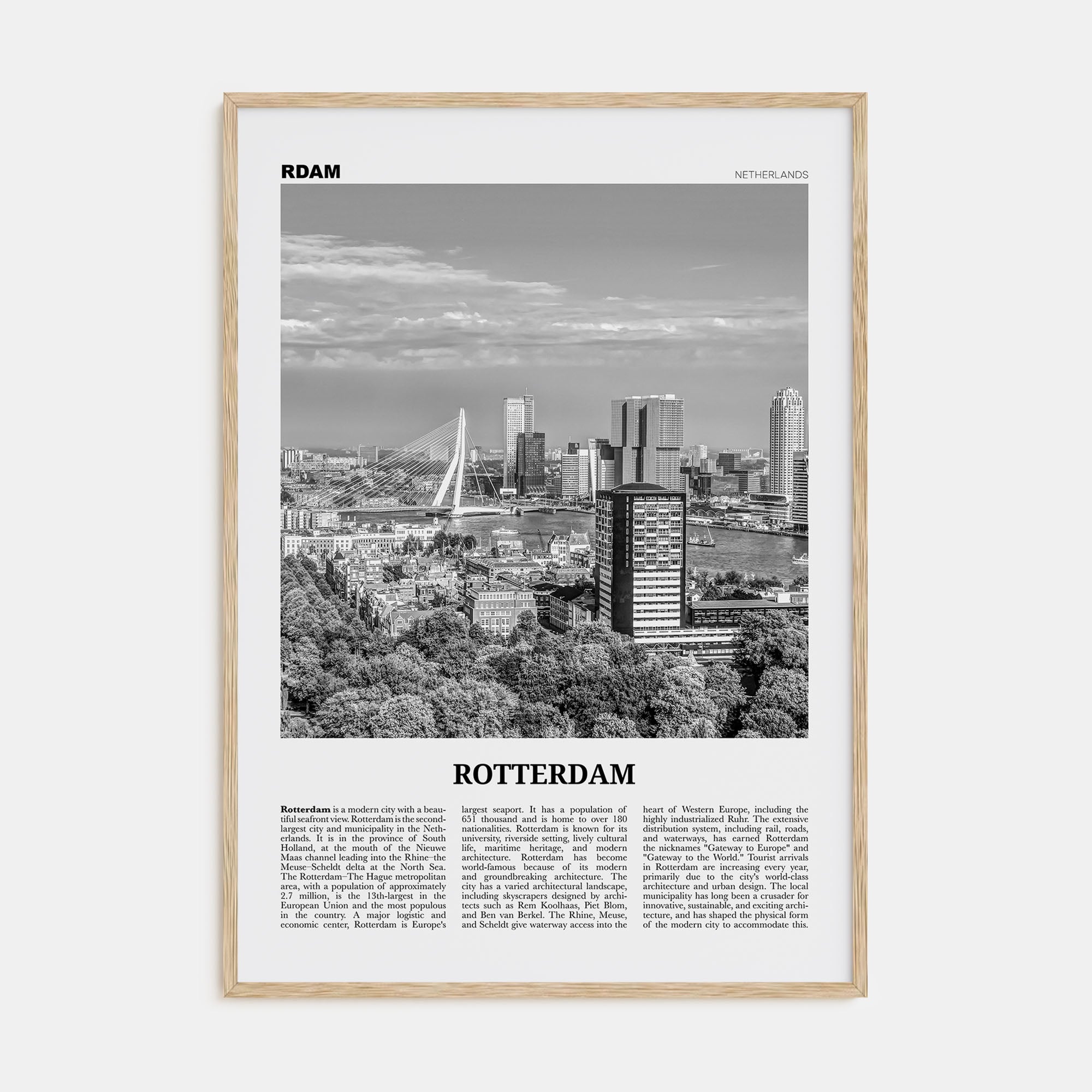Rotterdam Travel B&W No 2 Poster