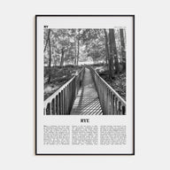 Rye Travel B&W Poster