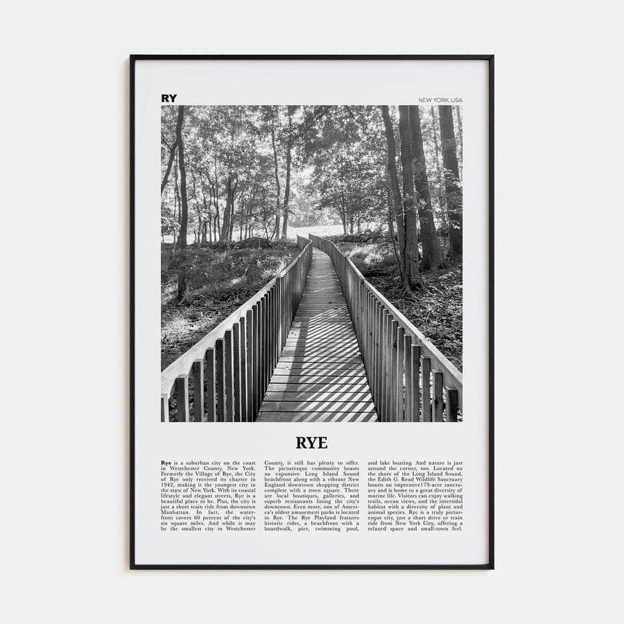 Rye Travel B&W Poster