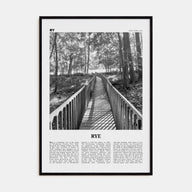 Rye Travel B&W Poster